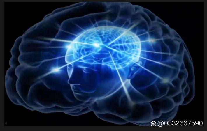 综艺节目录制现场爆发激烈冲突,两位嘉宾当场翻脸